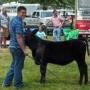 Mike Lash Photo 24