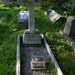 John Rector Photo 38