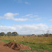 Victoria Gordon Photo 34
