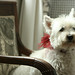 Harold Six Photo 8