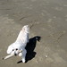 Mamie Lucas Photo 9