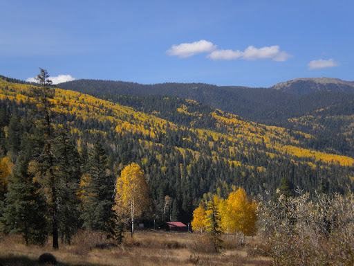 Douglas Garrett Photo 38