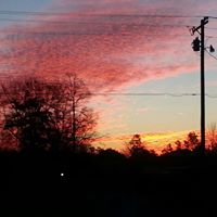 Susan Needham Photo 9