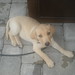 Alec Rich Photo 9