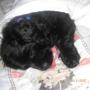 Minerva Santiago Photo 17