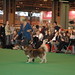 Neil Phelps Photo 37