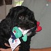 Darby Green Photo 21