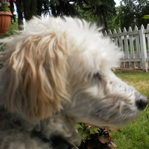 Howard Tuttle Photo 6