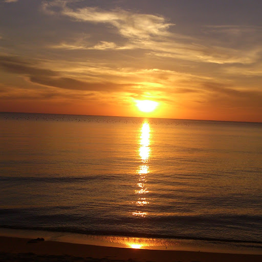 Dinh Long Photo 5