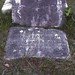 John Cox Photo 15