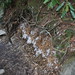 Crystal Linville Photo 15