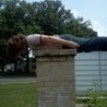 Jason Ott Photo 2