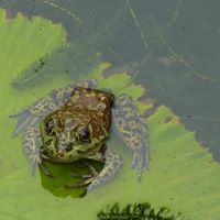 Robin Rogers Photo 12
