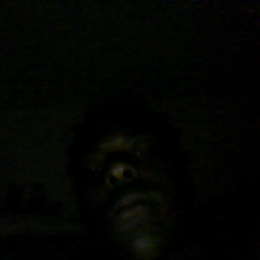 William Hailey Photo 3