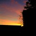 Lisa Ashmore Photo 16
