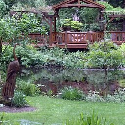 Cathy Andersen Photo 3