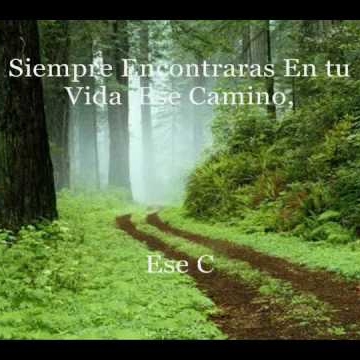 Jesus Elizalde Photo 31
