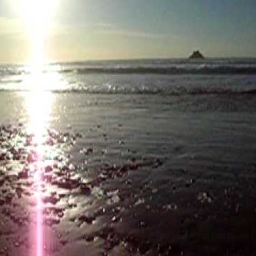 John Bird Photo 30