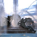 Cary Pope Photo 10