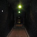 Robert Gargano Photo 9