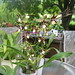 Barbara Bivens Photo 8