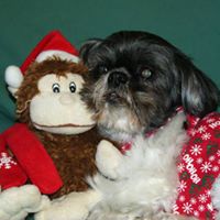 Teresa Chism Photo 6