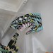 Jason Hsu Photo 45