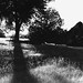 William Cotten Photo 9