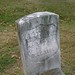 Sarah Harlan Photo 20