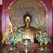 Chi Phan Photo 12