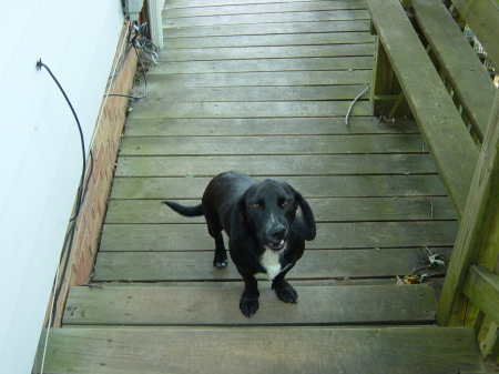 Susan Feldman Photo 35