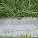 Nancy Carpenter Photo 10