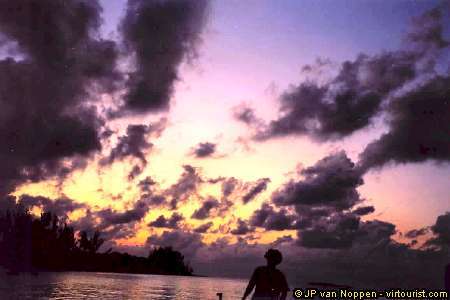 Carol Henry Photo 18