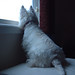 Delilah Winters Photo 11