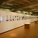 Paul Lewis Photo 29
