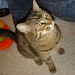Candace Neighbors Photo 10