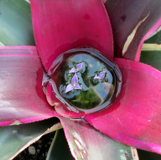 Annette Hartzell Photo 2
