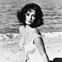 Paula Shepard Photo 26