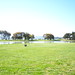 Sue Knox Photo 15