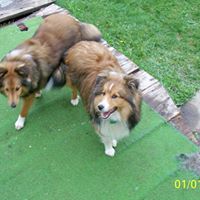 Arlene Montgomery Photo 12