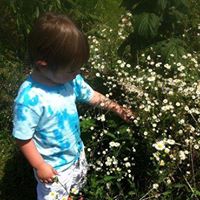 Dianne Mccarthy Photo 11