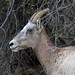 Ashley Daggett Photo 9