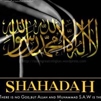 Syed Hameed Photo 10