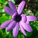 Judith Groff Photo 15