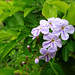 Rosa Yates Photo 9