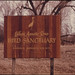 Annette Rowe Photo 15