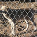 Kyle Wolf Photo 18