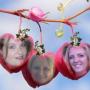 Jacqueline Mills Photo 24