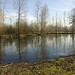 Louis Trout Photo 4