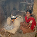 Rann Cook Photo 2